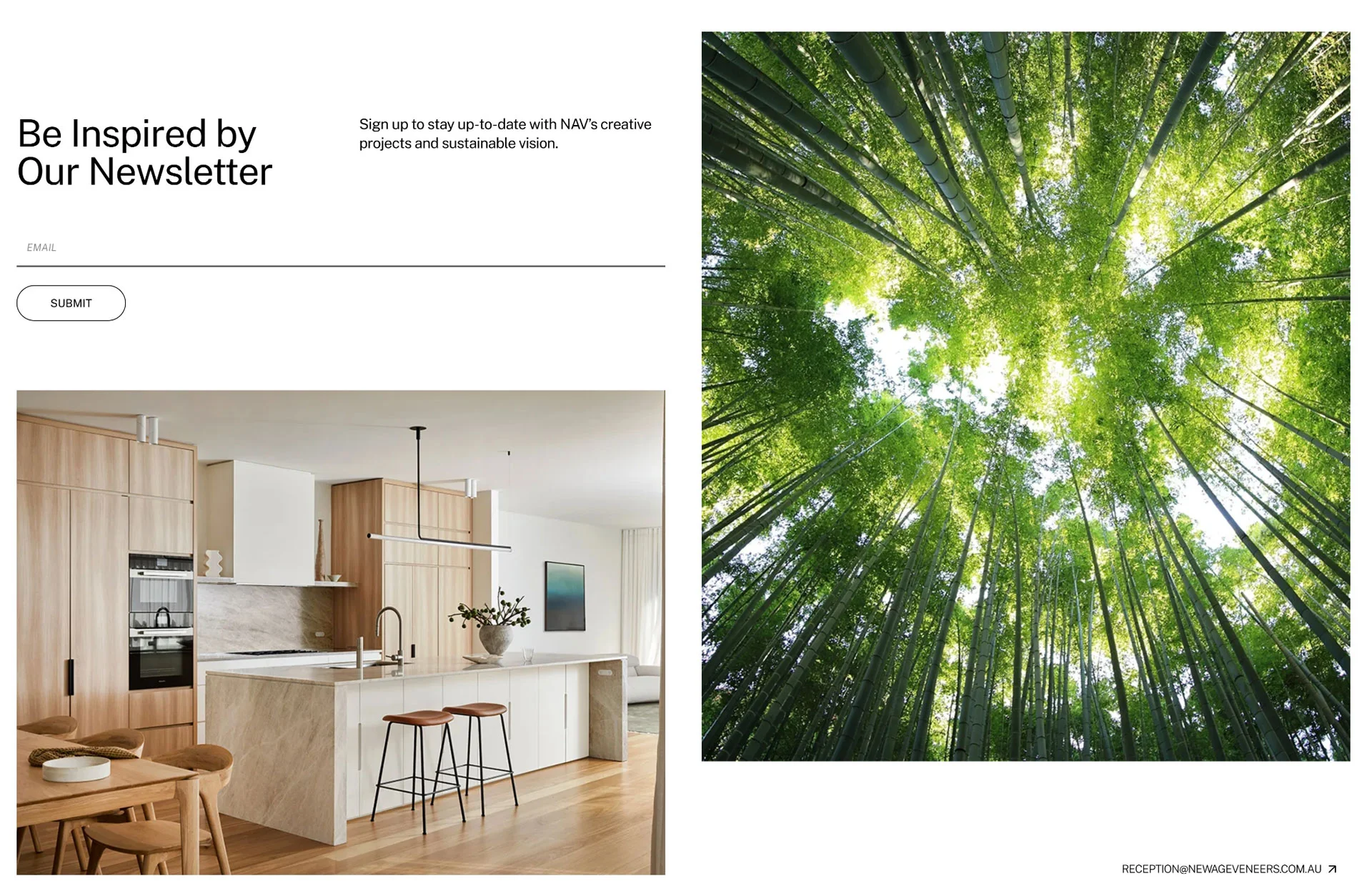 New-Age-Veneers-website-development-service