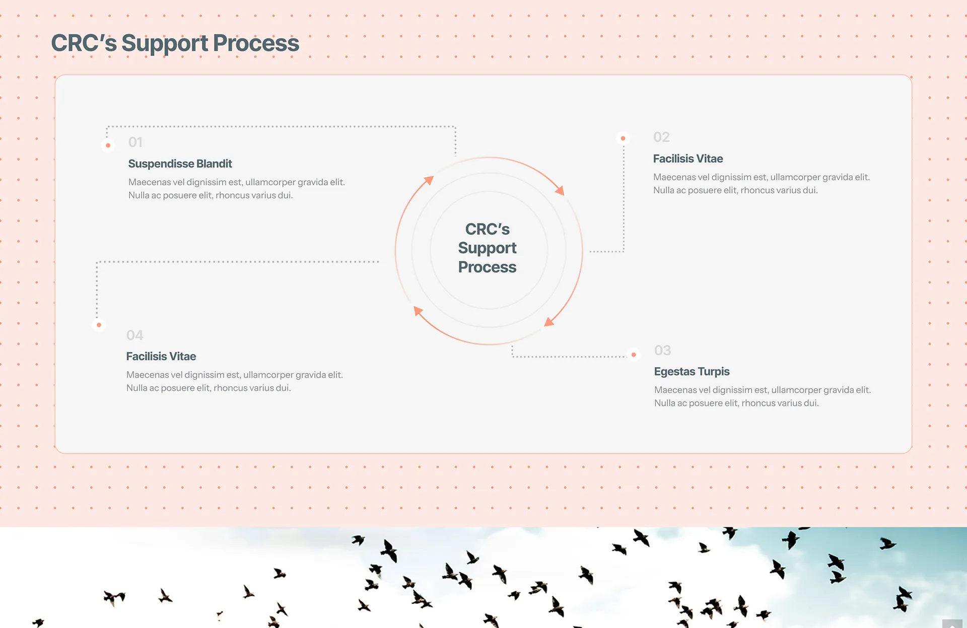 crc-website-development-service