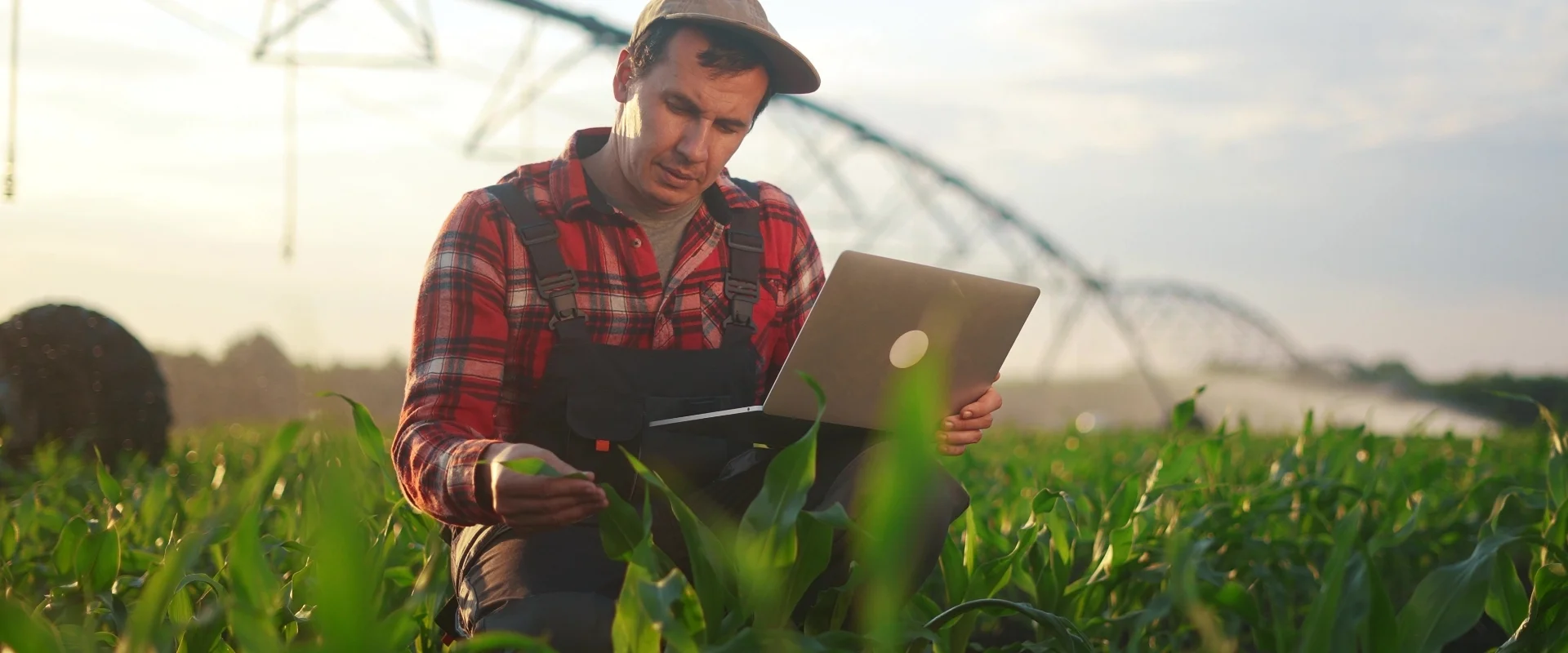mvp software and app development company