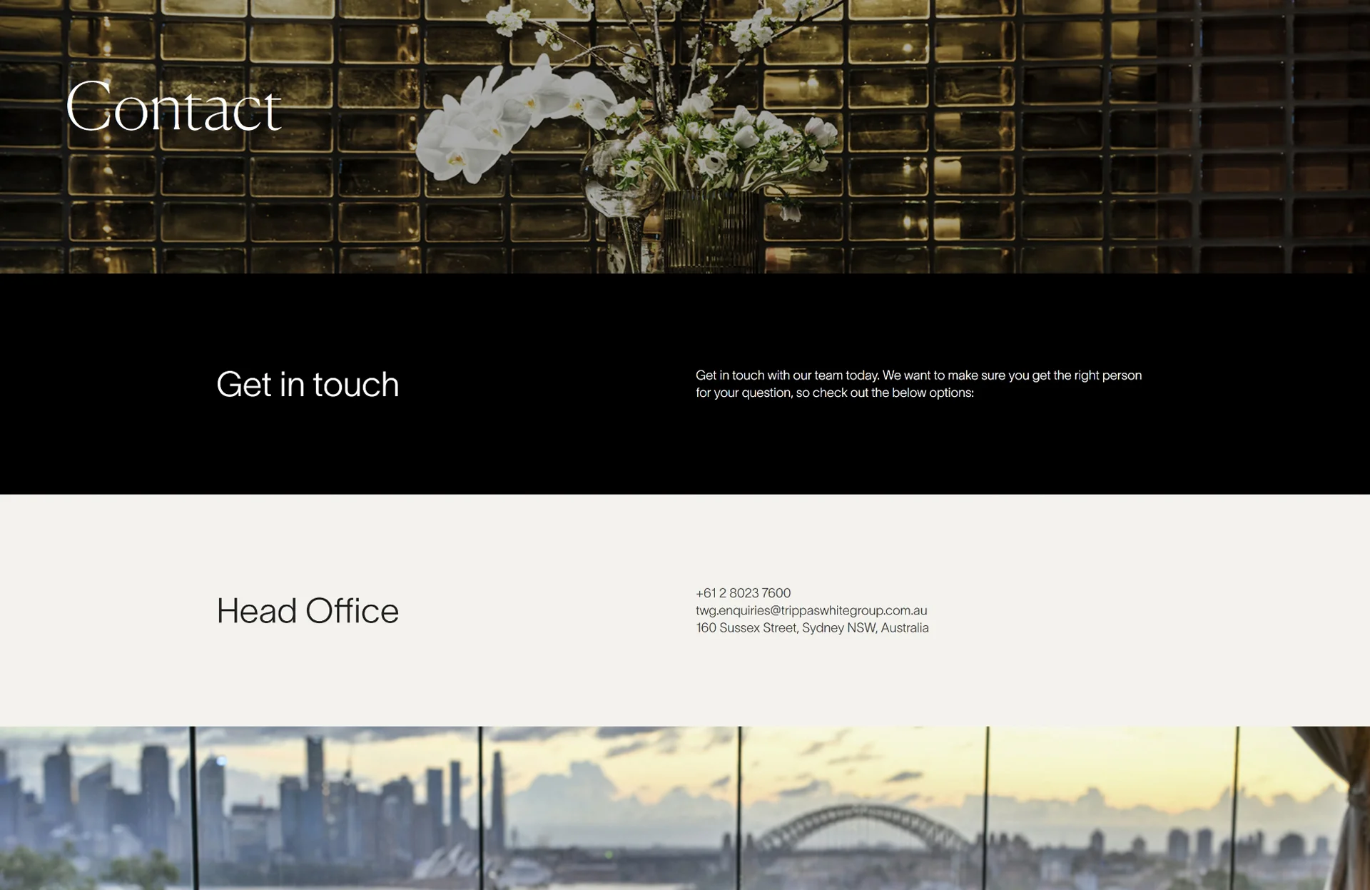 Trippas-web-design-service
