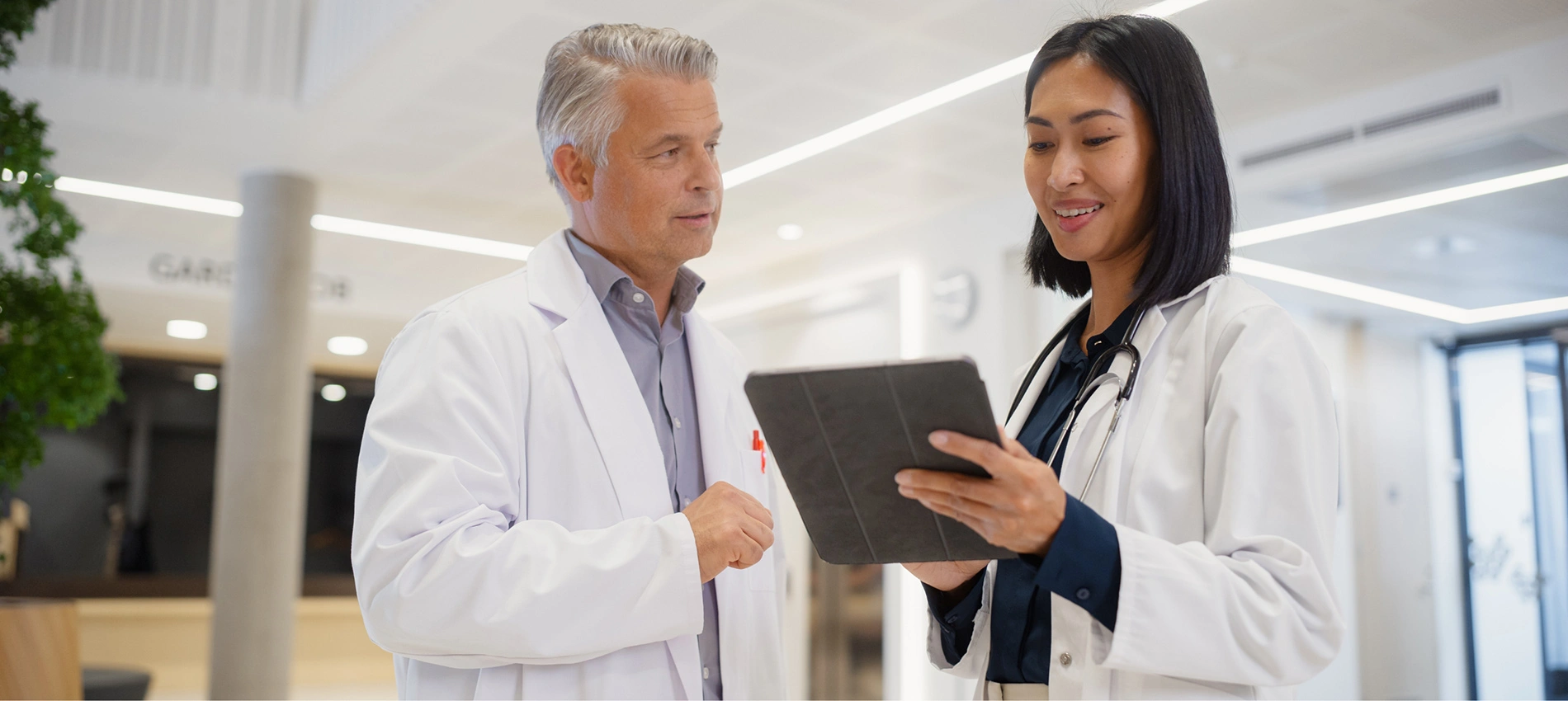 Healthcare Website company