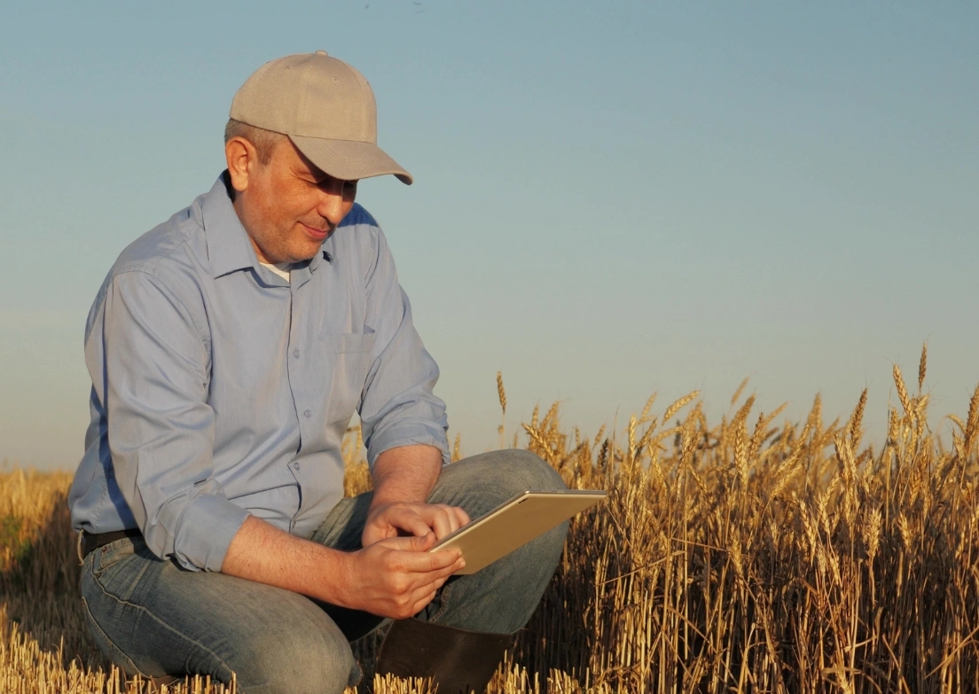 Agriculture